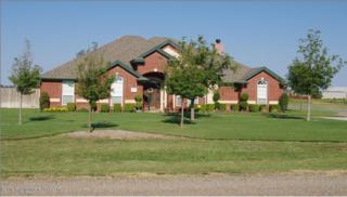 9410 Blenheim Dr , Amarillo, TX 79119 (#15-89171) :: Caprock Realty Group 9410 Blenheim Dr , Amarillo, TX 79119 (#15-89171) :: Caprock Realty Group