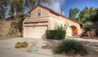 733 N Hazelton Drive , Chandler, AZ 85226 (MLS #5230465) :: West USA Realty Revelation 733 N Hazelton Drive , Chandler, AZ 85226 (MLS #5230465) :: West USA Realty Revelation