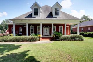 6192 Dolphin Drive , Satsuma, AL 36572 (MLS #217494) :: Jason Will Real Estate 6192 Dolphin Drive , Satsuma, AL 36572 (MLS #217494) :: Jason Will Real Estate