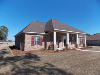 22375 County Road 12 , Foley, AL 36535 (MLS #220870) :: Jason Will Real Estate 22375 County Road 12 , Foley, AL 36535 (MLS #220870) :: Jason Will Real Estate