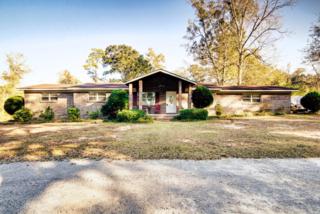 45660 Old Carney Rd , Bay Minette, AL 36507 (MLS #219550) :: Jason Will Real Estate 45660 Old Carney Rd , Bay Minette, AL 36507 (MLS #219550) :: Jason Will Real Estate