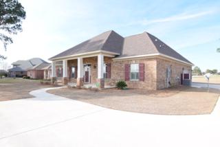 22375 County Road 12 , Foley, AL 36535 (MLS #220870) :: Jason Will Real Estate 22375 County Road 12 , Foley, AL 36535 (MLS #220870) :: Jason Will Real Estate