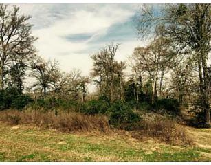 Lot 8 Abbey Lane , Iola, TX 77861 (MLS #96302) :: The Traditions Realty Team Lot 8 Abbey Lane , Iola, TX 77861 (MLS #96302) :: The Traditions Realty Team