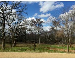 21 ac County Road 347 Loop , Gause, TX 77857 (MLS #96706) :: The Traditions Realty Team 21 ac County Road 347 Loop , Gause, TX 77857 (MLS #96706) :: The Traditions Realty Team