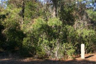 105 SE 32 St , Oak Island, NC 28465 (MLS #654764) :: Coldwell Banker Sea Coast Advantage 105 SE 32 St , Oak Island, NC 28465 (MLS #654764) :: Coldwell Banker Sea Coast Advantage