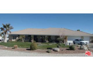 5080 Mono Road , Phelan, CA 92371 (#15880121) :: TruLine Realty 5080 Mono Road , Phelan, CA 92371 (#15880121) :: TruLine Realty