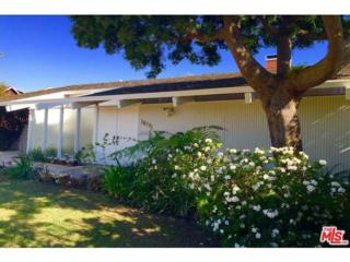 16772 Bollinger Drive , Pacific Palisades, CA 90272 (#15882639) :: Jesse de Leon Group -- Teles Properties 16772 Bollinger Drive , Pacific Palisades, CA 90272 (#15882639) :: Jesse de Leon Group -- Teles Properties