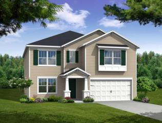 176 Meadow Wood Road , Summerville, SC 29483 (#15005171) :: The Cassina Group 176 Meadow Wood Road , Summerville, SC 29483 (#15005171) :: The Cassina Group