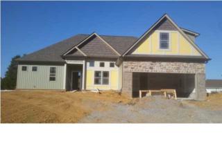 550 Thoroughbred Dr , Cleveland, TN 37312 (MLS #1217463) :: Keller Williams Realty | Barry and Diane Evans - The Evans Group 550 Thoroughbred Dr , Cleveland, TN 37312 (MLS #1217463) :: Keller Williams Realty | Barry and Diane Evans - The Evans Group