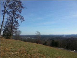 0 Summit Dr , Dayton, TN 37321 (MLS #1220973) :: Keller Williams Realty | Barry and Diane Evans - The Evans Group 0 Summit Dr , Dayton, TN 37321 (MLS #1220973) :: Keller Williams Realty | Barry and Diane Evans - The Evans Group