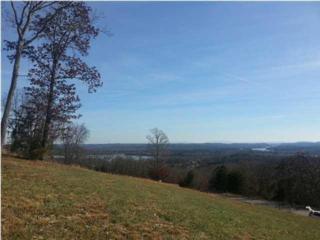 0 Summit Dr , Dayton, TN 37321 (MLS #1220973) :: Keller Williams Realty | Barry and Diane Evans - The Evans Group 0 Summit Dr , Dayton, TN 37321 (MLS #1220973) :: Keller Williams Realty | Barry and Diane Evans - The Evans Group