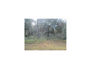 11012 W Townsend , Homosassa, FL 34448 (MLS #707881) :: Plantation Realty Inc. 11012 W Townsend , Homosassa, FL 34448 (MLS #707881) :: Plantation Realty Inc.
