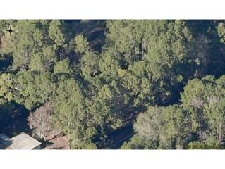 8101 W Homosassa , Homosassa, FL 34448 (MLS #709596) :: Plantation Realty Inc. 8101 W Homosassa , Homosassa, FL 34448 (MLS #709596) :: Plantation Realty Inc.