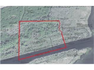 0 Hwy 40 , Inglis, FL 34449 (MLS #711183) :: Plantation Realty Inc. 0 Hwy 40 , Inglis, FL 34449 (MLS #711183) :: Plantation Realty Inc.