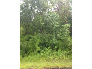 1487 S Candlenut Ave , Homosassa, FL 34448 (MLS #712303) :: Plantation Realty Inc. 1487 S Candlenut Ave , Homosassa, FL 34448 (MLS #712303) :: Plantation Realty Inc.