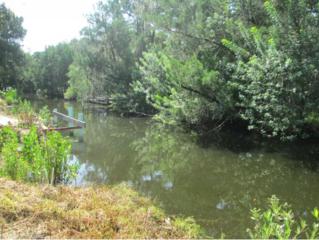 14346 W Shorecliff Ct , Crystal River, FL 34429 (MLS #713083) :: Plantation Realty Inc. 14346 W Shorecliff Ct , Crystal River, FL 34429 (MLS #713083) :: Plantation Realty Inc.