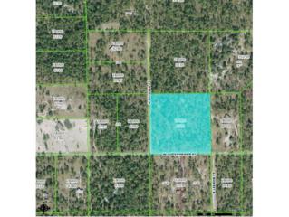 6823 W Copenhagen St , Dunnellon, FL 34433 (MLS #713234) :: Plantation Realty Inc. 6823 W Copenhagen St , Dunnellon, FL 34433 (MLS #713234) :: Plantation Realty Inc.