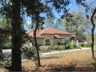 3977 N Buckhorn Dr , Beverly Hills, FL 34465 (MLS #716621) :: Plantation Realty Inc. 3977 N Buckhorn Dr , Beverly Hills, FL 34465 (MLS #716621) :: Plantation Realty Inc.