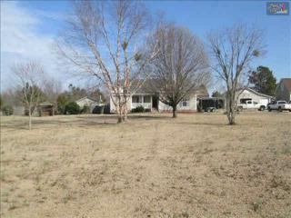729 Cherry Blossom Road , Gaston, SC 29053 (MLS #372447) :: Century 21 | J. Bolos 729 Cherry Blossom Road , Gaston, SC 29053 (MLS #372447) :: Century 21 | J. Bolos