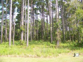 204 Leeward Ln 116, Beaufort, NC 28516 (MLS #13-5833) :: Star Team Real Estate 204 Leeward Ln 116, Beaufort, NC 28516 (MLS #13-5833) :: Star Team Real Estate