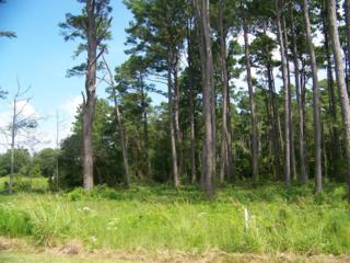 206 Leeward Ln 115, Beaufort, NC 28516 (MLS #13-5834) :: Star Team Real Estate 206 Leeward Ln 115, Beaufort, NC 28516 (MLS #13-5834) :: Star Team Real Estate