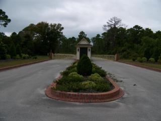 315 Skiff Ct 68, Harkers Island, NC 28531 (MLS #13-5835) :: Star Team Real Estate 315 Skiff Ct 68, Harkers Island, NC 28531 (MLS #13-5835) :: Star Team Real Estate