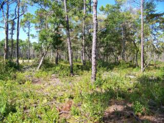 328 Skiff Ct 80, Harkers Island, NC 28531 (MLS #13-5837) :: Star Team Real Estate 328 Skiff Ct 80, Harkers Island, NC 28531 (MLS #13-5837) :: Star Team Real Estate