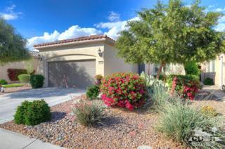 81690 Avenida De Musica , Indio, CA 92203 (MLS #215006696) :: The Jelmberg Team 81690 Avenida De Musica , Indio, CA 92203 (MLS #215006696) :: The Jelmberg Team