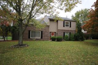 7461 Elru Dr , Englewood, OH 45415 (MLS #598057) :: Denise Swick and Company 7461 Elru Dr , Englewood, OH 45415 (MLS #598057) :: Denise Swick and Company