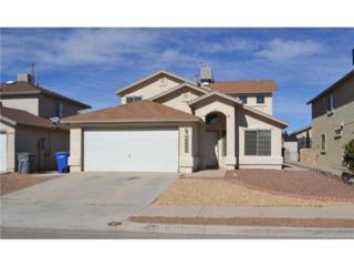 14085 Tierra Delfin Drive , El Paso, TX 79938 (MLS #568375) :: The Brian Burds Home Selling Team 14085 Tierra Delfin Drive , El Paso, TX 79938 (MLS #568375) :: The Brian Burds Home Selling Team