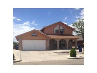 1365 John Phelan Drive , El Paso, TX 79936 (MLS #570007) :: The Brian Burds Home Selling Team 1365 John Phelan Drive , El Paso, TX 79936 (MLS #570007) :: The Brian Burds Home Selling Team
