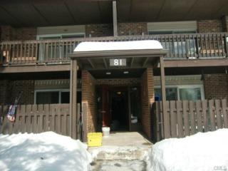 81 Balance Rock Road 6, Seymour, CT 06483 (MLS #99094171) :: The CT Home Finder at Keller Williams 81 Balance Rock Road 6, Seymour, CT 06483 (MLS #99094171) :: The CT Home Finder at Keller Williams
