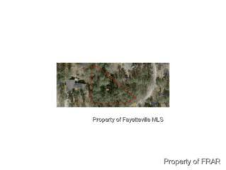 Lot 15 Wood Run , Sanford, NC 27332 (MLS #439069) :: Weichert Realtors, On-Site Associates Lot 15 Wood Run , Sanford, NC 27332 (MLS #439069) :: Weichert Realtors, On-Site Associates