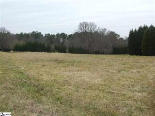 1719 Hudson Road , Greer, SC 29650 (#1283106) :: Hamilton & Co. of Keller Williams 1719 Hudson Road , Greer, SC 29650 (#1283106) :: Hamilton & Co. of Keller Williams