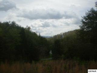 Lot 41 Clearwood Road , Newport, TN 37821 (#173657) :: The Terrell Team Lot 41 Clearwood Road , Newport, TN 37821 (#173657) :: The Terrell Team