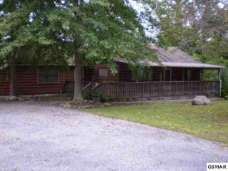 359 Rocky Flats Rd , Cosby, TN 37722 (#174696) :: The Terrell Team 359 Rocky Flats Rd , Cosby, TN 37722 (#174696) :: The Terrell Team