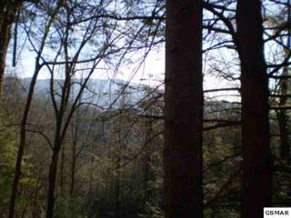 Lot 3 Off Of Catons Grove Road , Cosby, TN 37722 (#175544) :: The Terrell Team Lot 3 Off Of Catons Grove Road , Cosby, TN 37722 (#175544) :: The Terrell Team