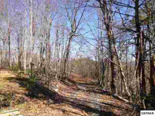 740 Pinecrest Way , Sevierville, TN 37862 (#179751) :: The Terrell Team 740 Pinecrest Way , Sevierville, TN 37862 (#179751) :: The Terrell Team