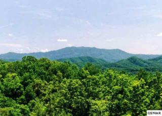 Tract 3 Tall Oak Way , Sevierville, TN 37876 (#180779) :: The Terrell Team Tract 3 Tall Oak Way , Sevierville, TN 37876 (#180779) :: The Terrell Team