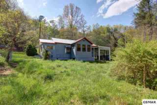 1109 Ogle Hills Road , Gatlinburg, TN 37738 (#180916) :: The Terrell Team 1109 Ogle Hills Road , Gatlinburg, TN 37738 (#180916) :: The Terrell Team