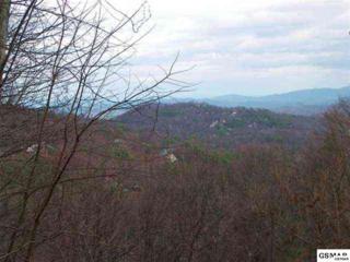 Lot 33 Luzerne Dr , Gatlinburg, TN 37738 (#185059) :: The Terrell Team Lot 33 Luzerne Dr , Gatlinburg, TN 37738 (#185059) :: The Terrell Team