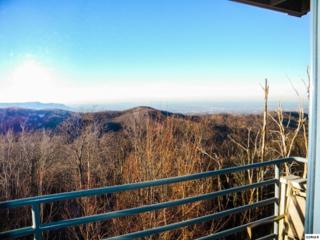 1260 Ski View Dr Unit 5107 Unit 5107, Gatlinburg, TN 37738 (#186781) :: The Terrell Team 1260 Ski View Dr Unit 5107 Unit 5107, Gatlinburg, TN 37738 (#186781) :: The Terrell Team