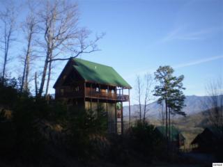 4615 High Vista Way , Pigeon Forge, TN 37863 (#187360) :: The Terrell Team 4615 High Vista Way , Pigeon Forge, TN 37863 (#187360) :: The Terrell Team