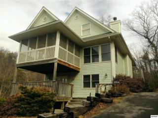 1014 Elm Rd , Gatlinburg, TN 37738 (#187506) :: The Terrell Team 1014 Elm Rd , Gatlinburg, TN 37738 (#187506) :: The Terrell Team