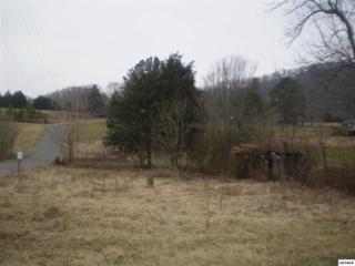 Megans Way , Newport, TN 37821 (#187523) :: The Terrell Team Megans Way , Newport, TN 37821 (#187523) :: The Terrell Team
