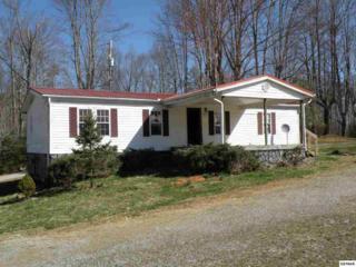 4845 Hooper Hwy Hwy 321, Cosby, TN 37722 (#187998) :: The Terrell Team 4845 Hooper Hwy Hwy 321, Cosby, TN 37722 (#187998) :: The Terrell Team