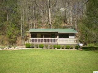 348 Huddleston Dr , Cosby, TN 37722 (#188560) :: The Terrell Team 348 Huddleston Dr , Cosby, TN 37722 (#188560) :: The Terrell Team