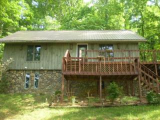 120 Ridgeland Drive , Newport, TN 37821 (#189263) :: The Terrell Team 120 Ridgeland Drive , Newport, TN 37821 (#189263) :: The Terrell Team