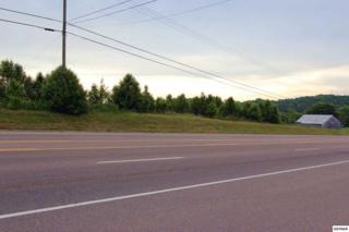 L6 Chapman Highway , Seymour, TN 37865 (#189269) :: The Terrell Team L6 Chapman Highway , Seymour, TN 37865 (#189269) :: The Terrell Team