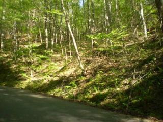 Lot 569 Orchard Drive , Sevierville, TN 37876 (#189272) :: The Terrell Team Lot 569 Orchard Drive , Sevierville, TN 37876 (#189272) :: The Terrell Team